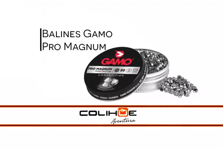 Gamo Pro Magnum Calibre 5.5 mm