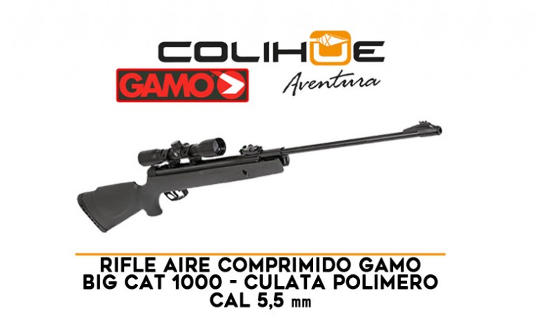 Rifle Aire Gamo Big Cat 1000 5.5mm
