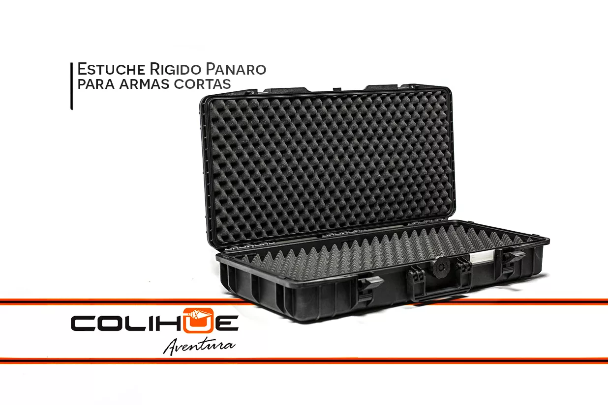 Estuche Rigido Panaro MAX800GP web