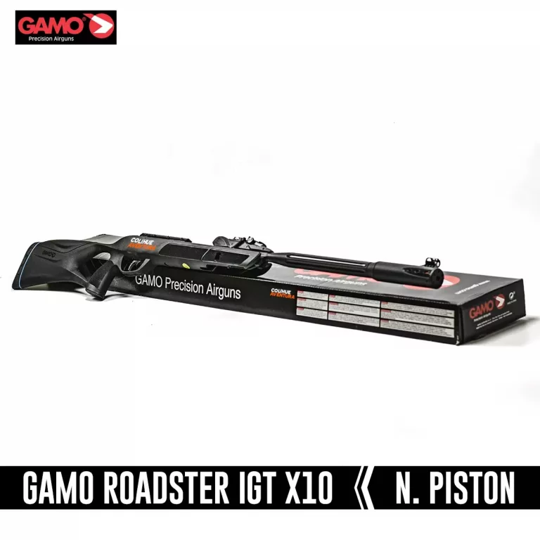gamo Roadster 5
