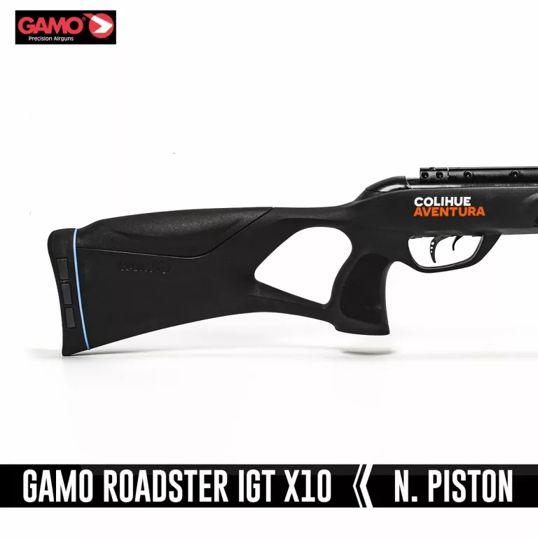 gamo Roadster 7