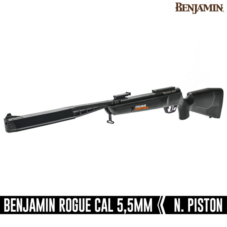Benjamin Rogue 4