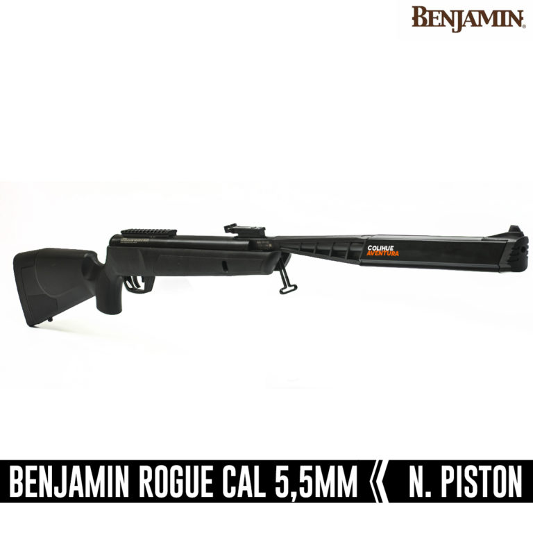Benjamin Rogue 6
